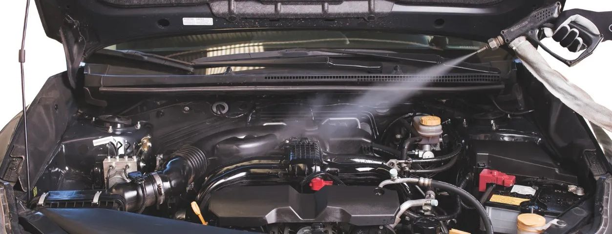 Lavadora Automotiva a Vapor - Foto 4