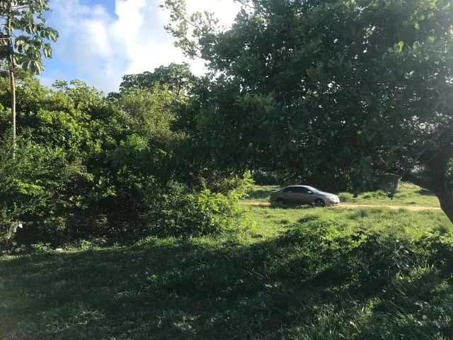 TERRENO NO MOSQUEIRO, 15x30mt - Foto 2