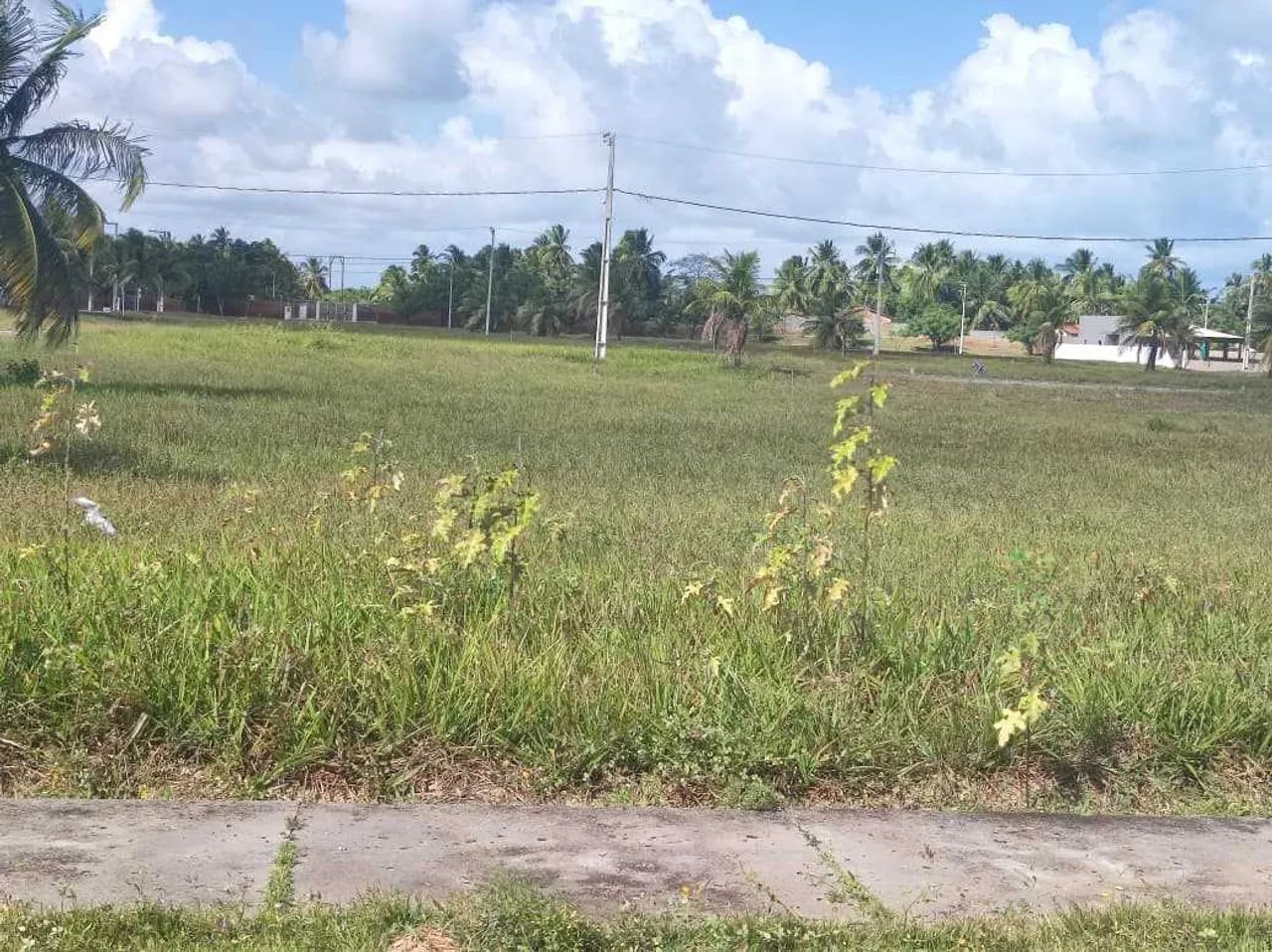 LOTE NO CONDOMINIO MIRIDIAM PRAIA MAR [8523] - Foto 2
