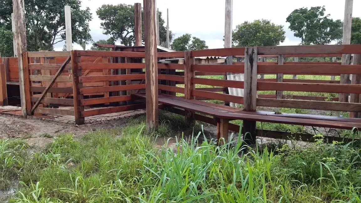 Fazenda a venda em Cocalinho - MT - Foto 5