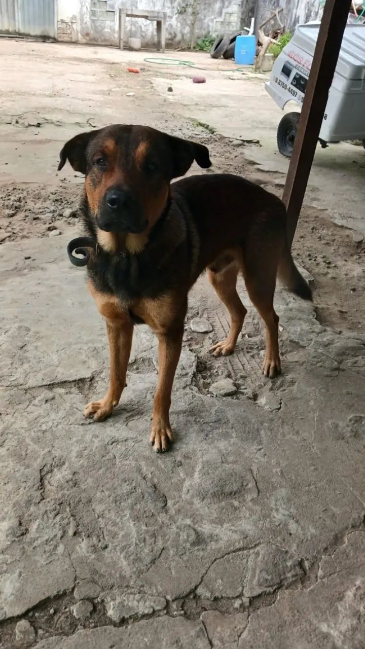 Doação  - Foto 4