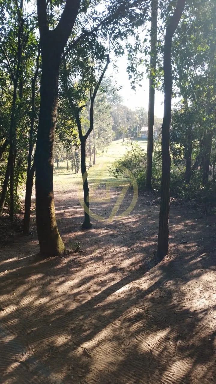 Chácara em Bairro do Porto - Itapetininga - Foto 3