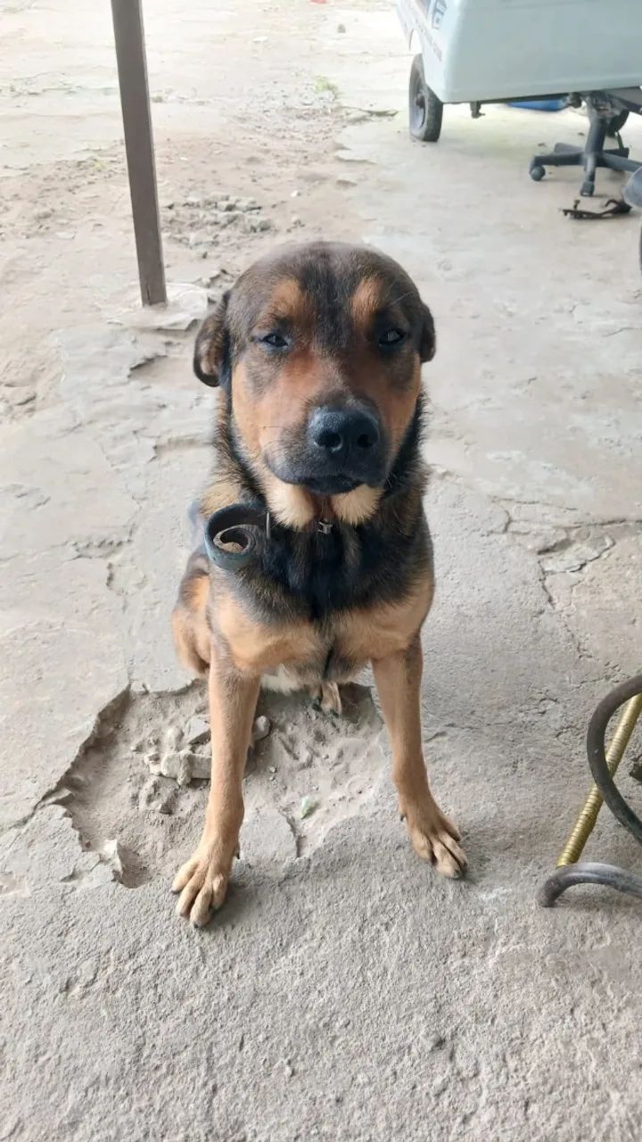 Doação  - Foto 3