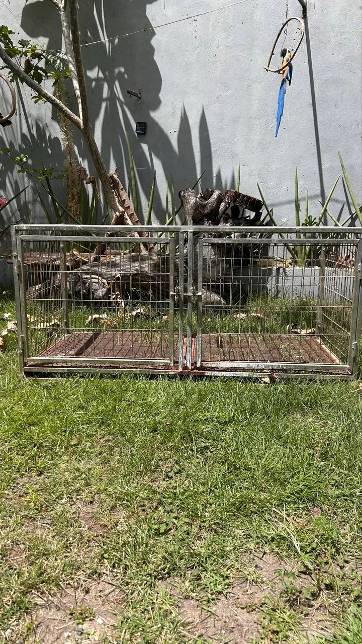 Gaiola pet - Foto 4