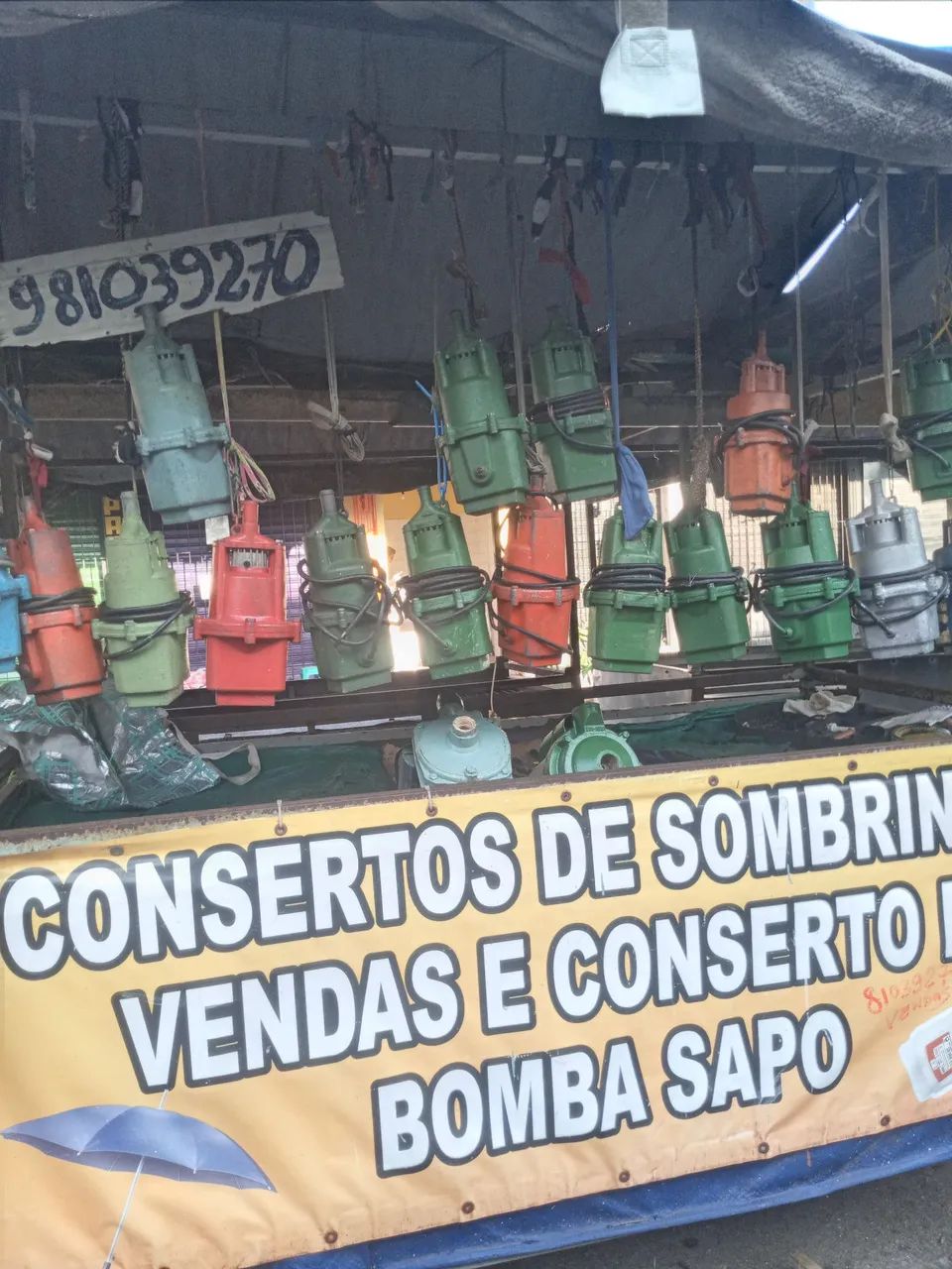 Bomba sapo - Foto 2