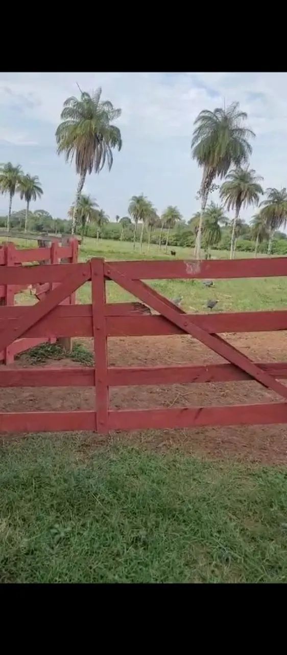 Fazenda no Maranhão  - Foto 5