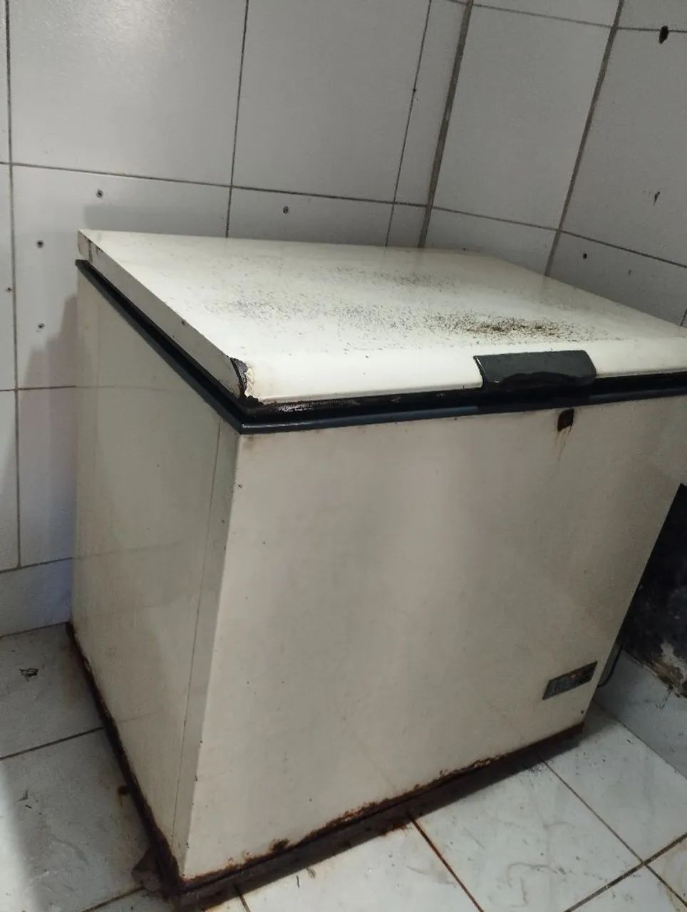 Freezer horizontal grande de 1 porta - Foto 2