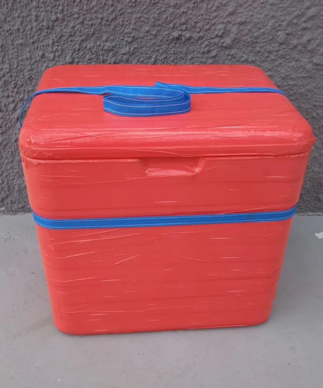 Caixa Térmica de Isopor - Foto 2