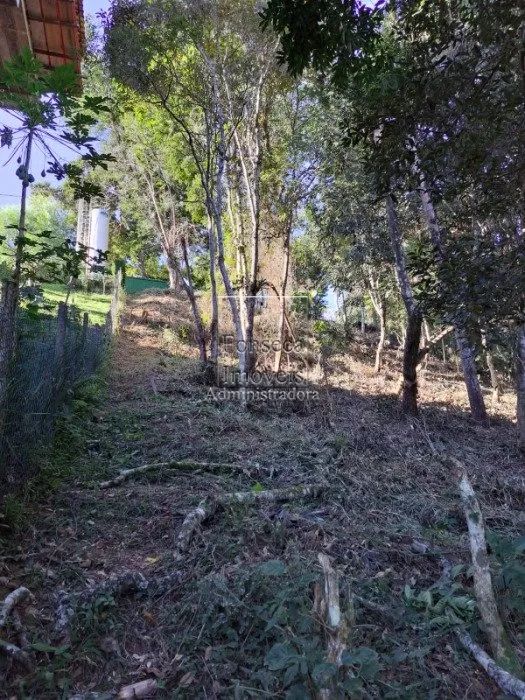 PETRóPOLIS - Terreno Padrão - Nogueira - Foto 4