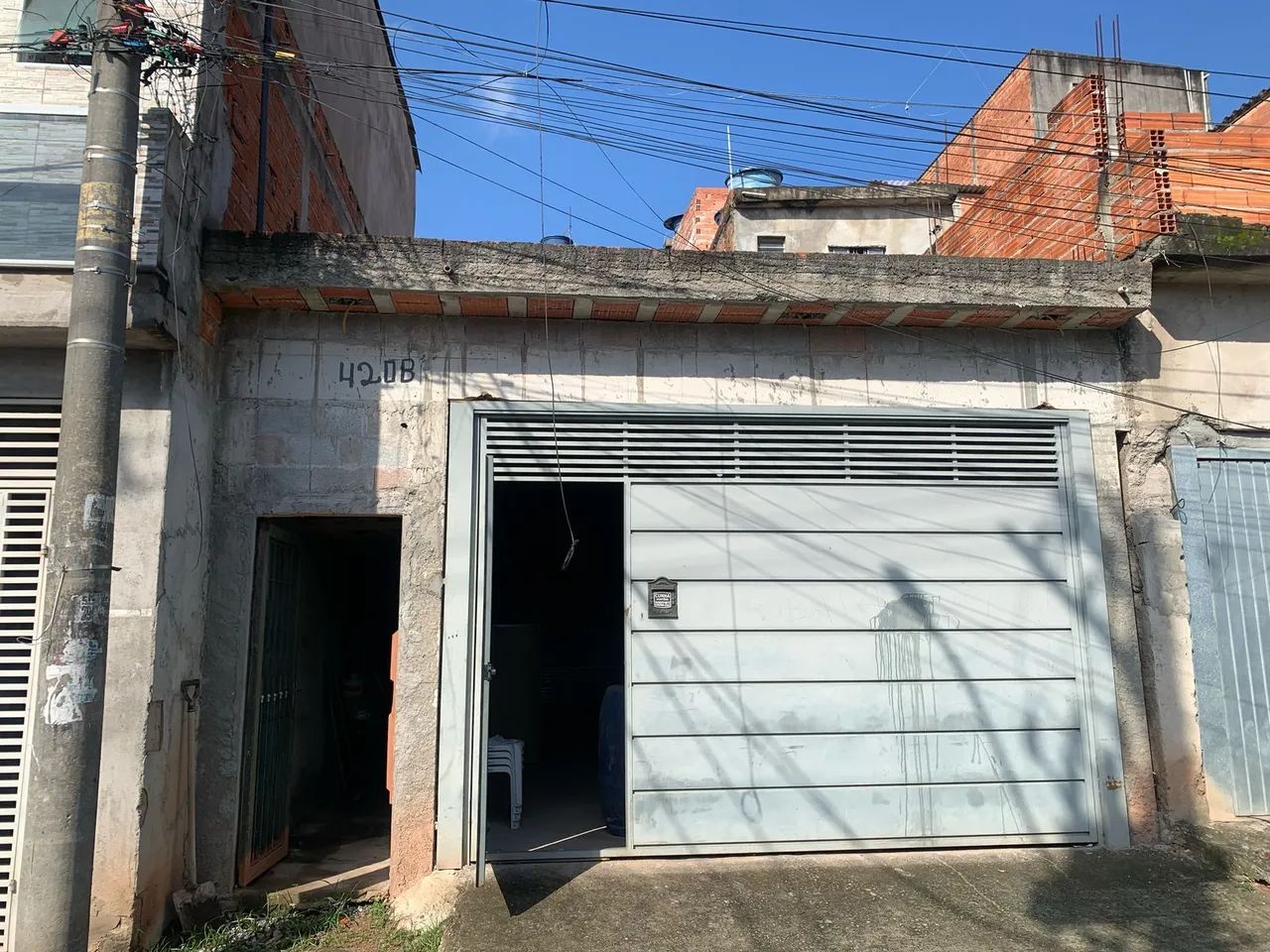 Foto - São Paulo - Jardim das Camélias