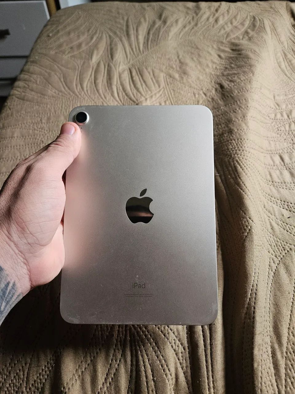パソコン iPad mini6 Apple iPad Mini 6 64GB C/ Tela 8.3 Space Gray Wi-Fi- Lacrado