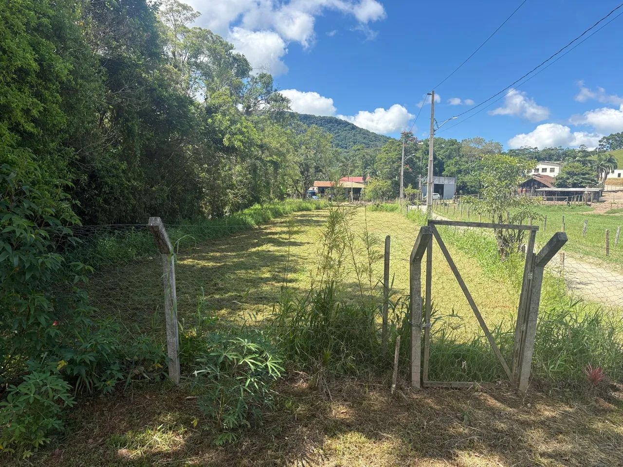 Terreno em área rural - Foto 3