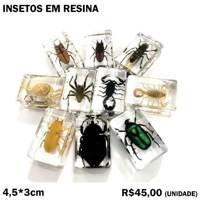 Insetos em Resina