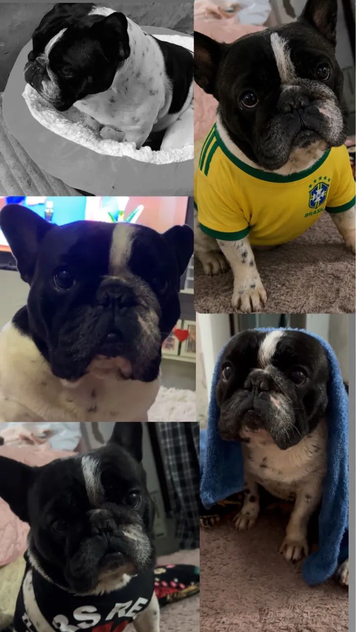 Procura-se  - Foto 2