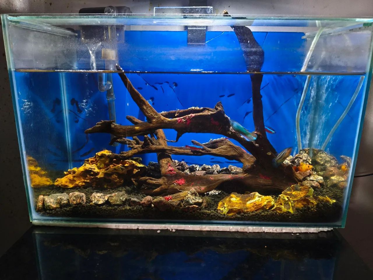 Aquário completo 18L 