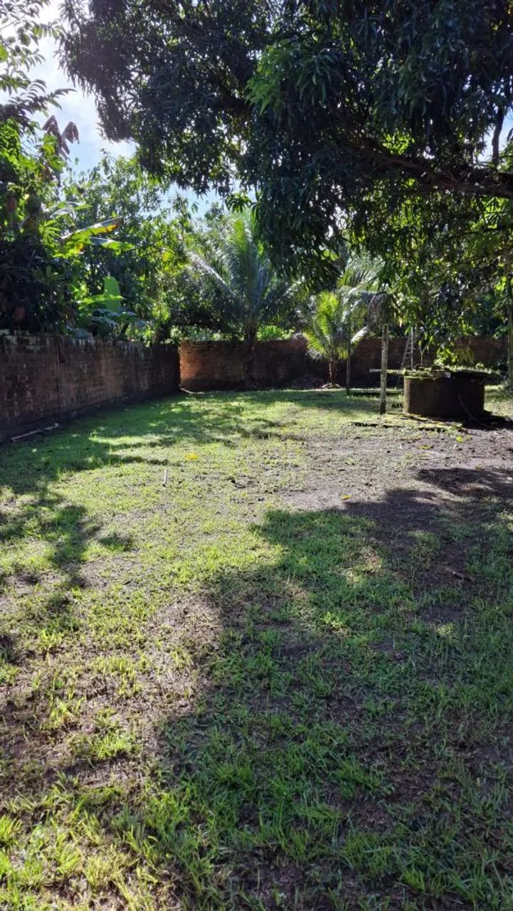 Terreno em benevides  - Foto 2