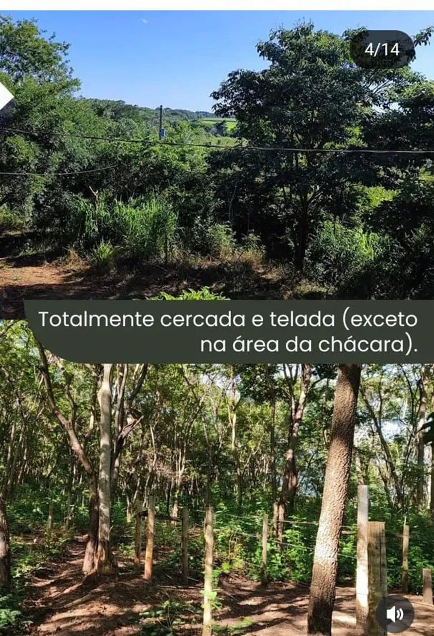Chácara de 33 mil metros  - Foto 2