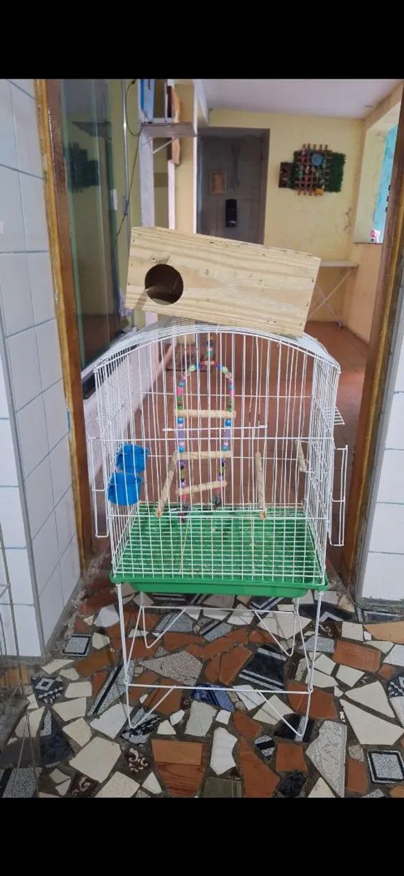 Gaiolas para calopsita