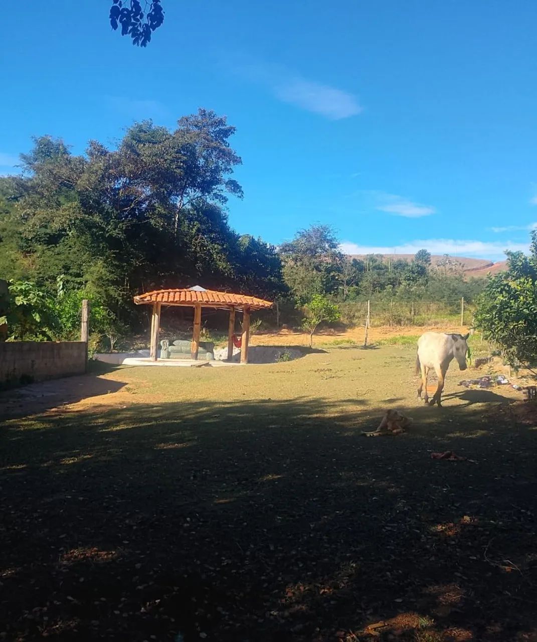 Vendo uma granja - Foto 4