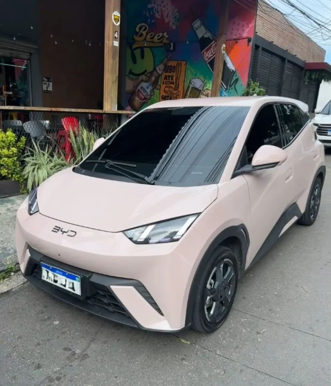 BYD Dolphin Dolphin Mini (Elétrico) 2025
