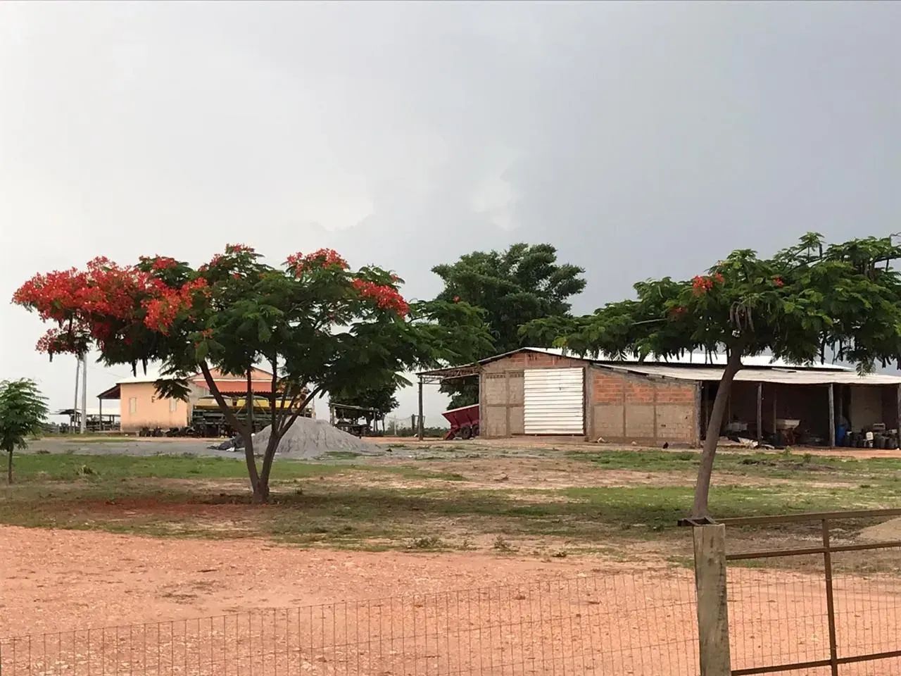 Fazenda a venda, Novo Jardim - Tocantins!! - Foto 3