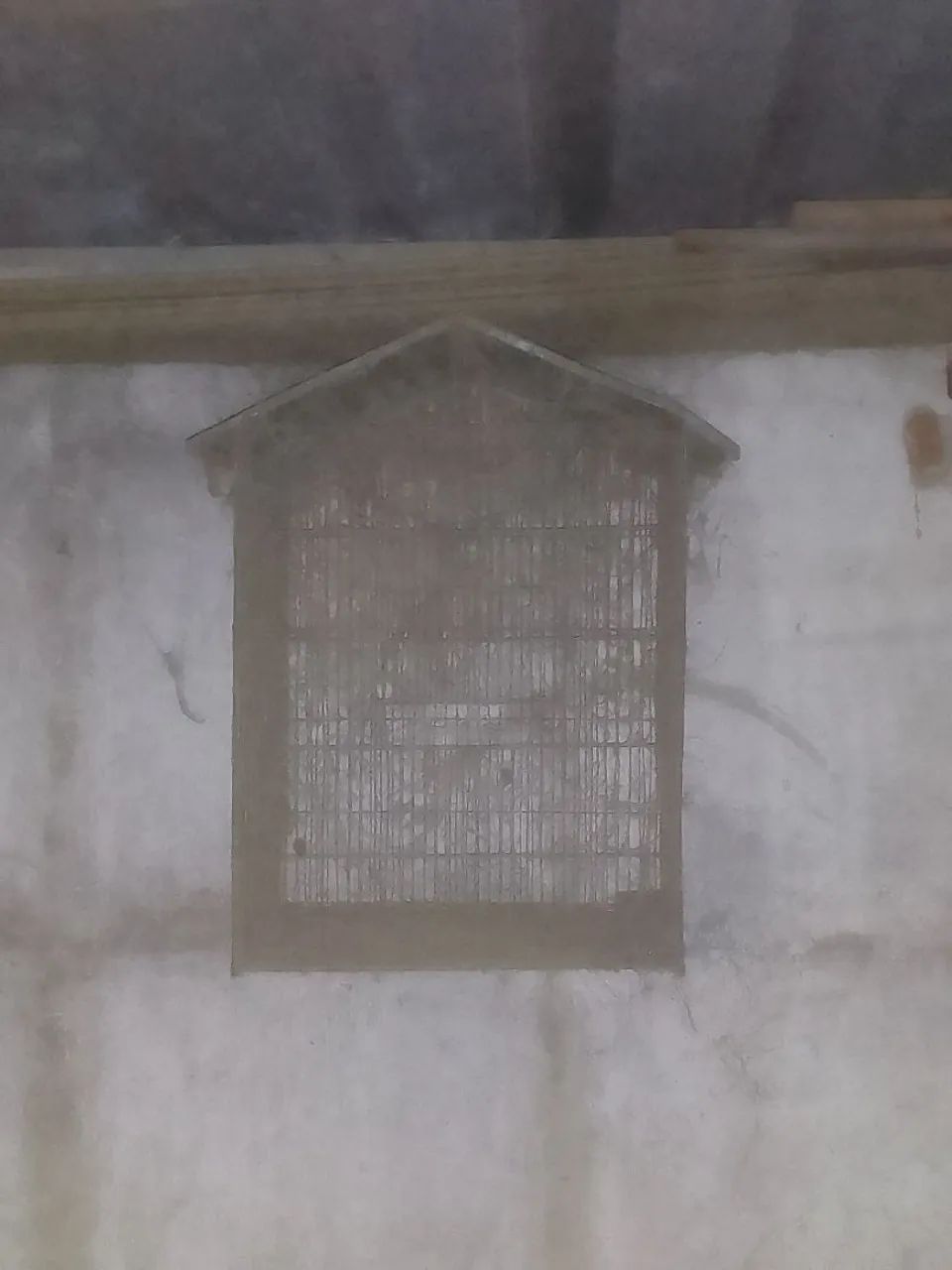 Viveiro de passarinho