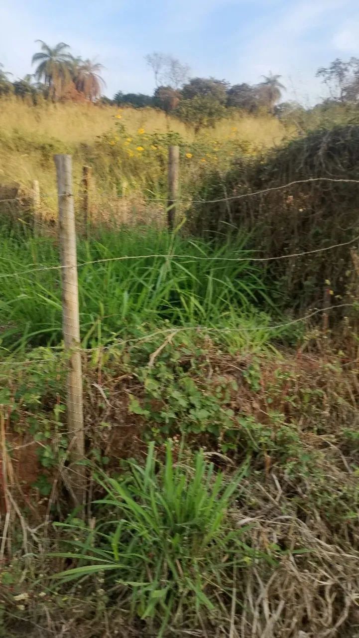Lote em Ibirité  - Foto 3