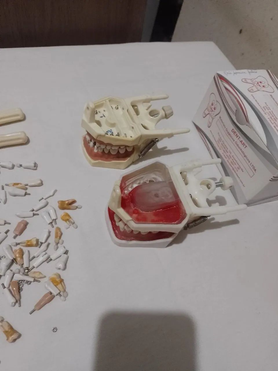 Kit de manequim odontológico  - Foto 2