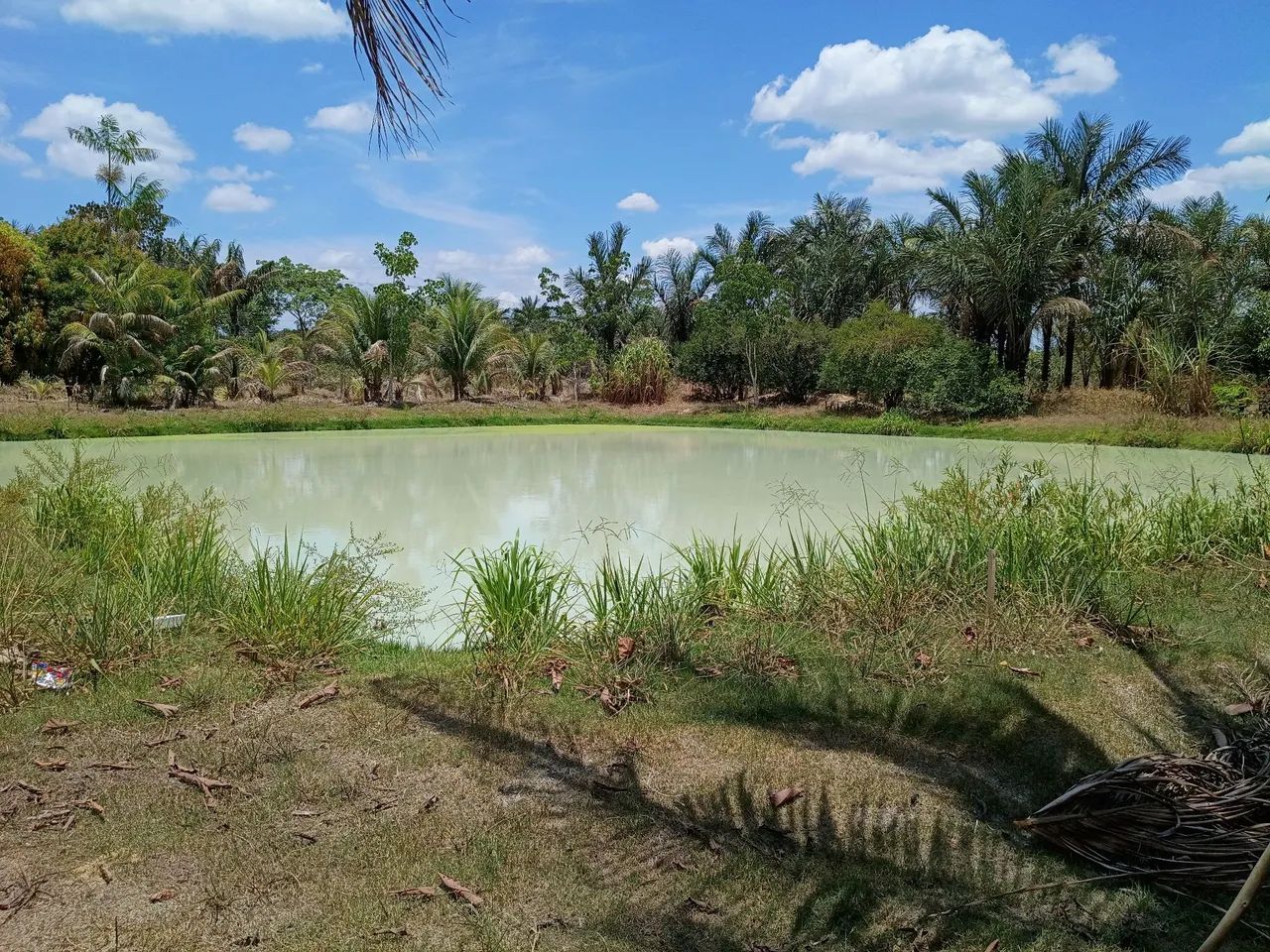 Terreno à venda - Foto 4