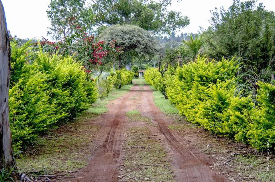 Sítio em Brazlandia -DF, 48ha, escriturado - Foto 9