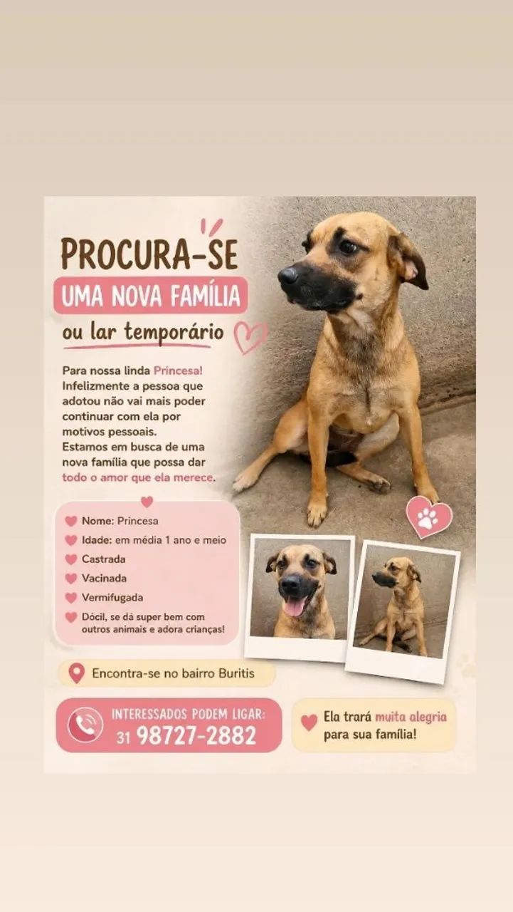 Adoção responsável urgente