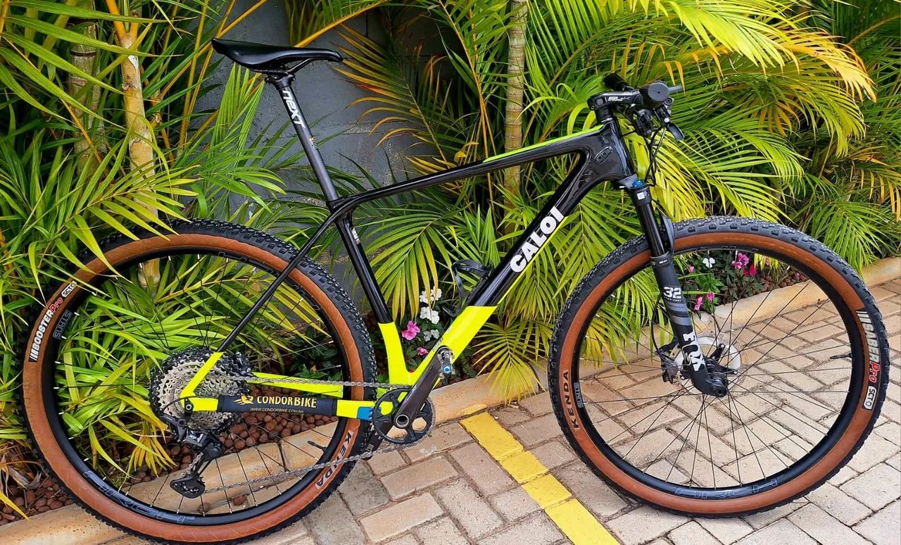 Caloi Carbon Race