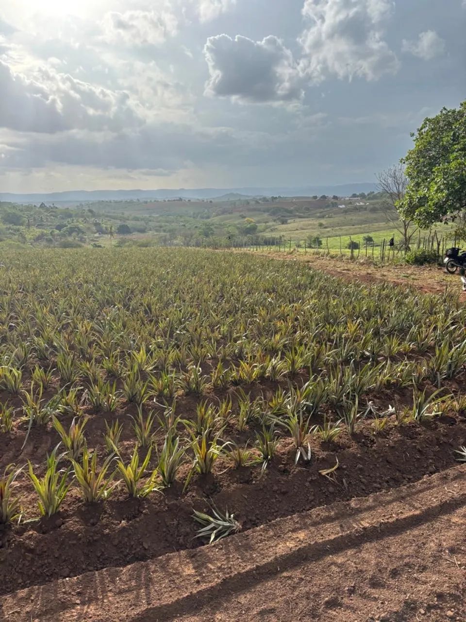 Ótima propriedade a venda. - Foto 4
