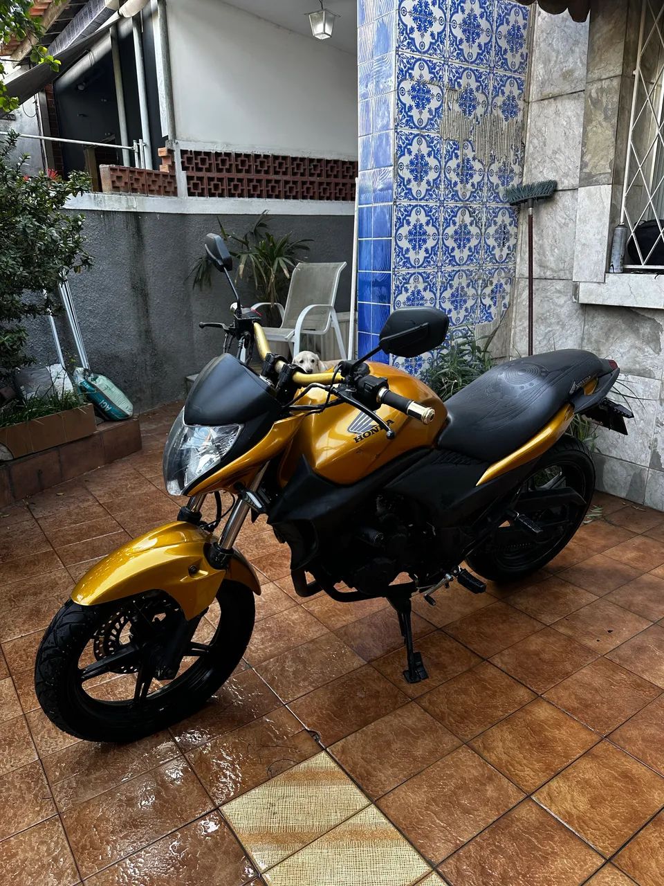 cb300 2011 - Foto 3