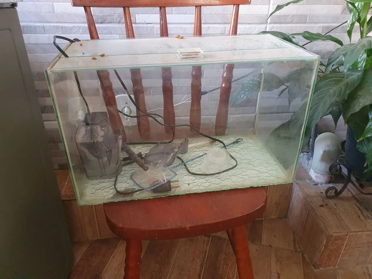 Vendo aquário barato 
