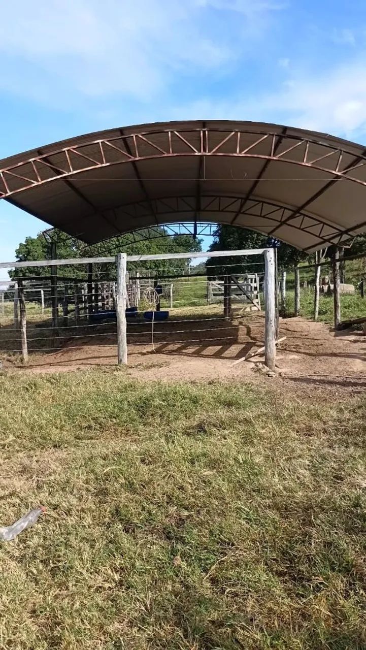 Fazenda a venda - Foto 3