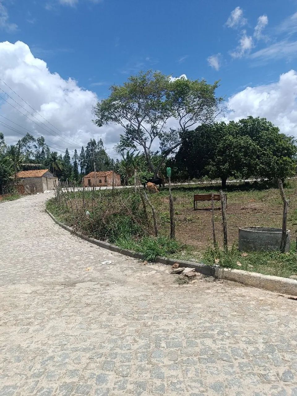 Vende-se Lotes - Foto 4