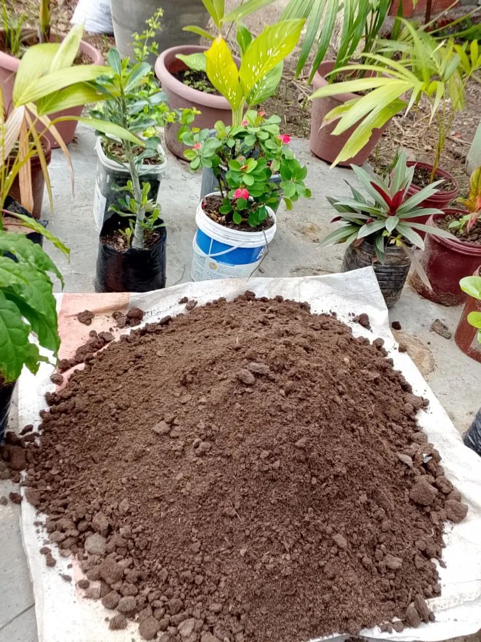 Vendas de adubo de gado