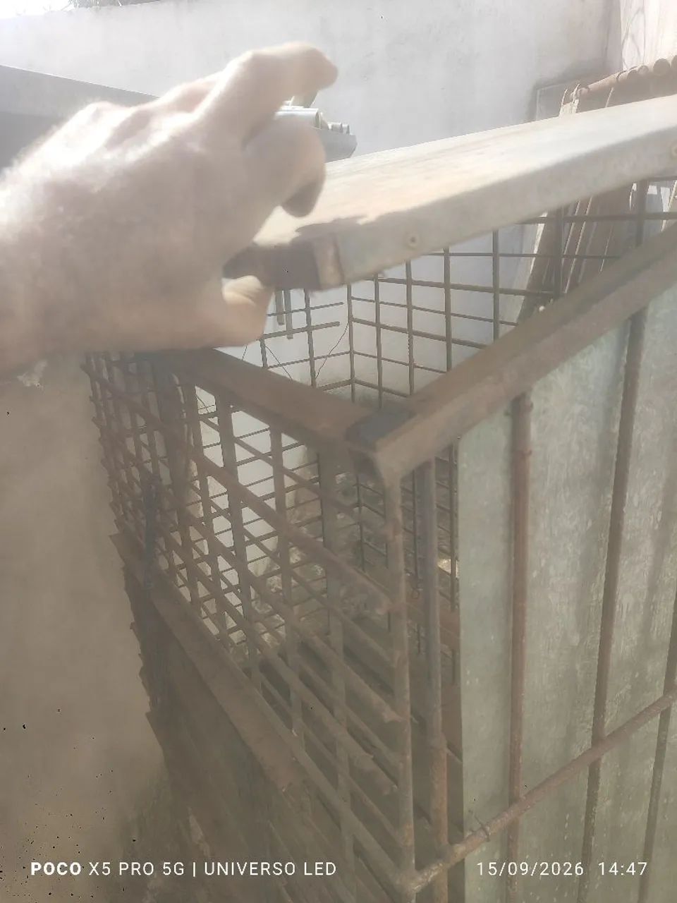 Gaiola para criação de Codornas  - Foto 5