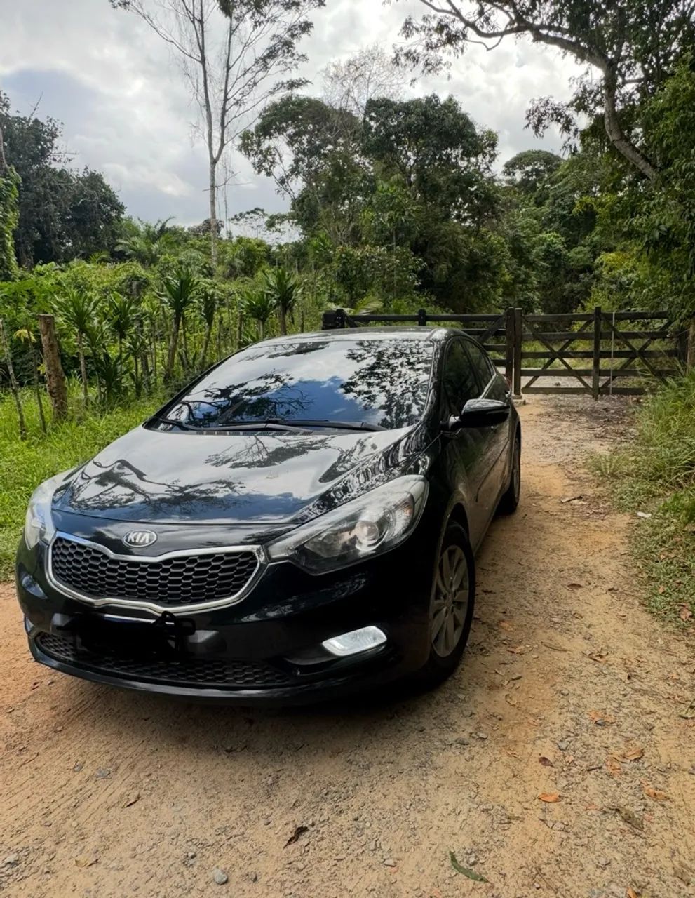 KIA Cerato Cerato 1.6 16V Flex Aut. 2015