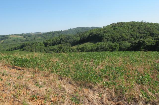 Área imperdível R$100.000,00 o alq. de planta/R$50.000,00 bosque e rio - Foto 15