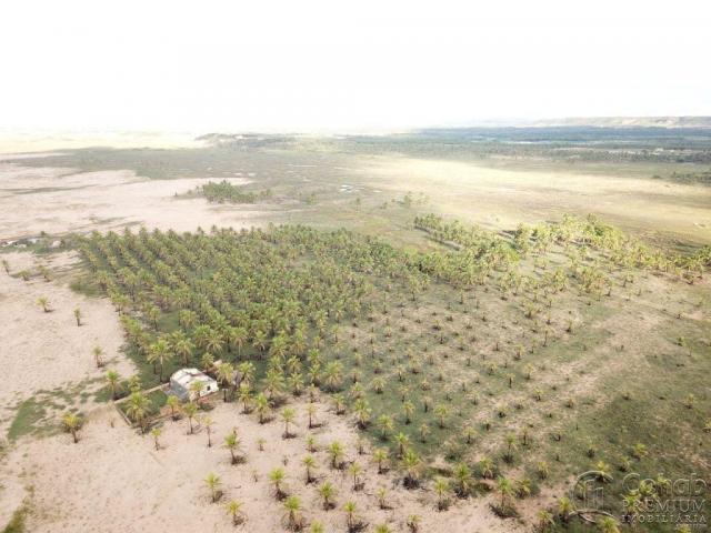 Grande área na barra dos coqueiros, a beira mar - Foto 7