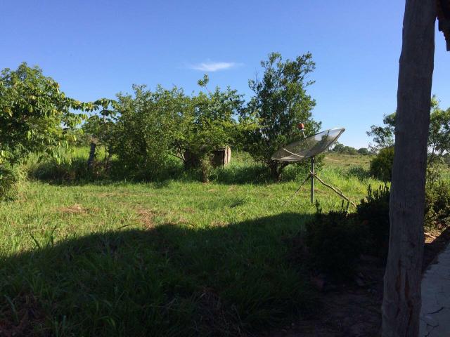 Vendo Fazenda Porteira fechada 80 hectares/DOCUMENTADA - Foto 8