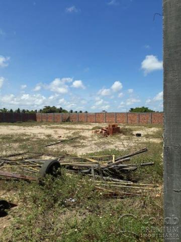 Terreno no povoado matapuã, bairro mosqueiro - Foto 8