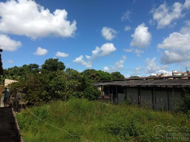 Casa no bairro, novo paraíso prox. av. brasil...