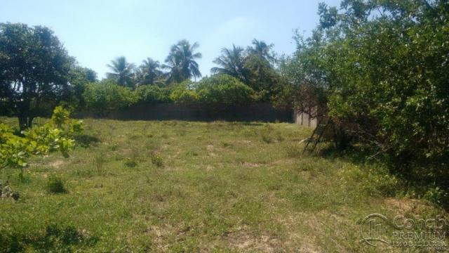 Sitio no povoado são jose - Foto 6