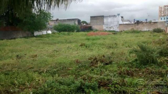 Terreno no Bairro Ponto Novo - Foto 5