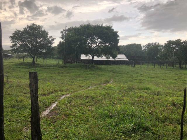 Vendo Fazenda Porteira fechada 80 hectares/DOCUMENTADA - Foto 12