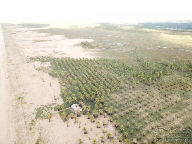 Grande área na barra dos coqueiros, a beira mar - Foto 3