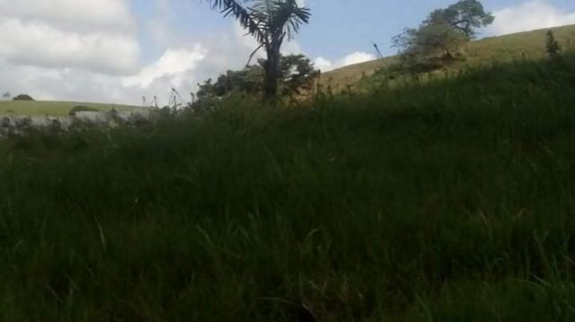 Fazenda para venda em barreiros, barreiros - Foto 13